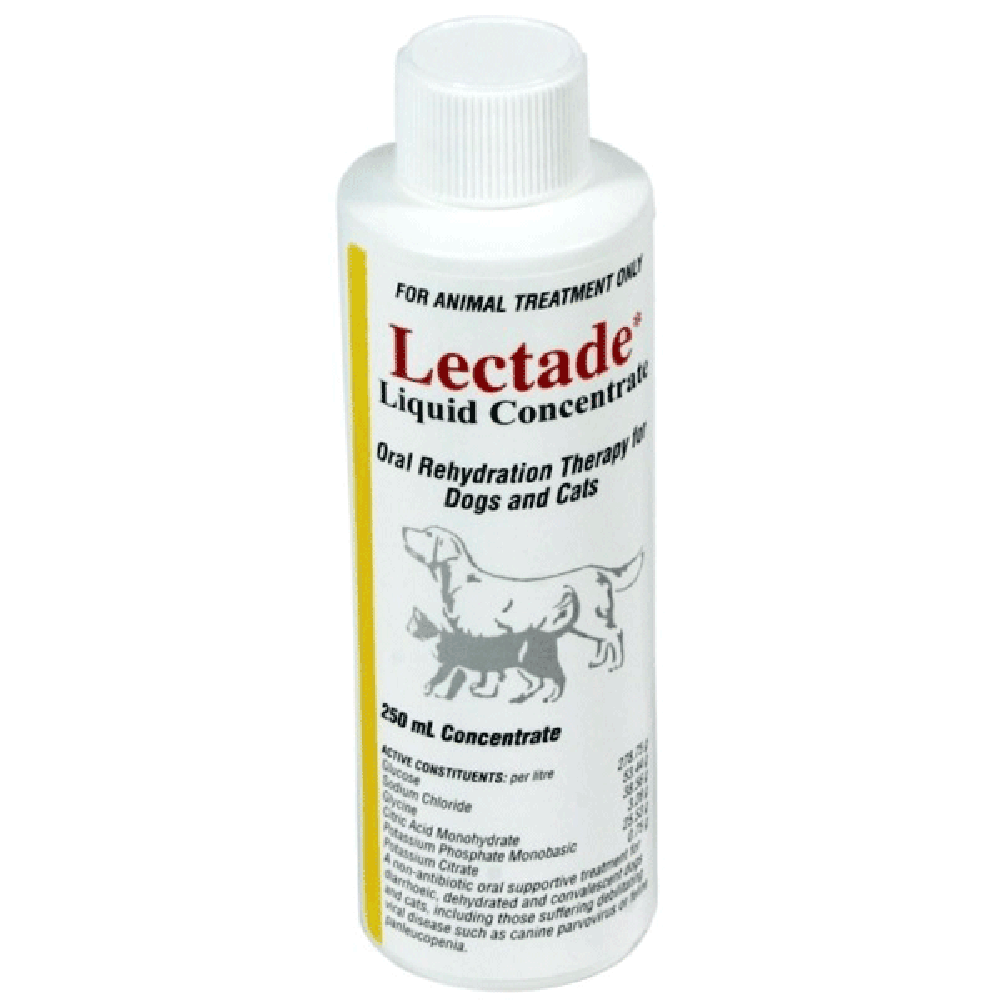 Lectade Liquid Concentrate 250Ml