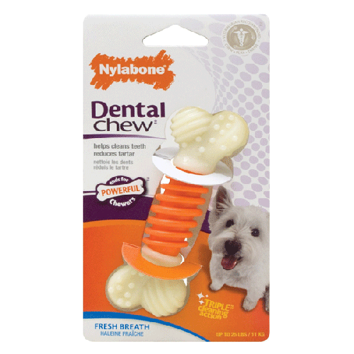 Nylabone Pro Action Dental Chew Small