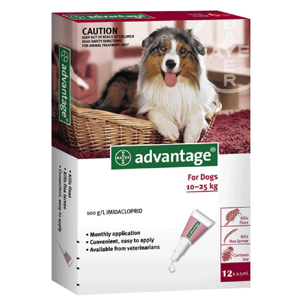 Advantage Flea & Tick Spot-on For Dogs Large ( 10-25 kg / 22 - 55 lbs)