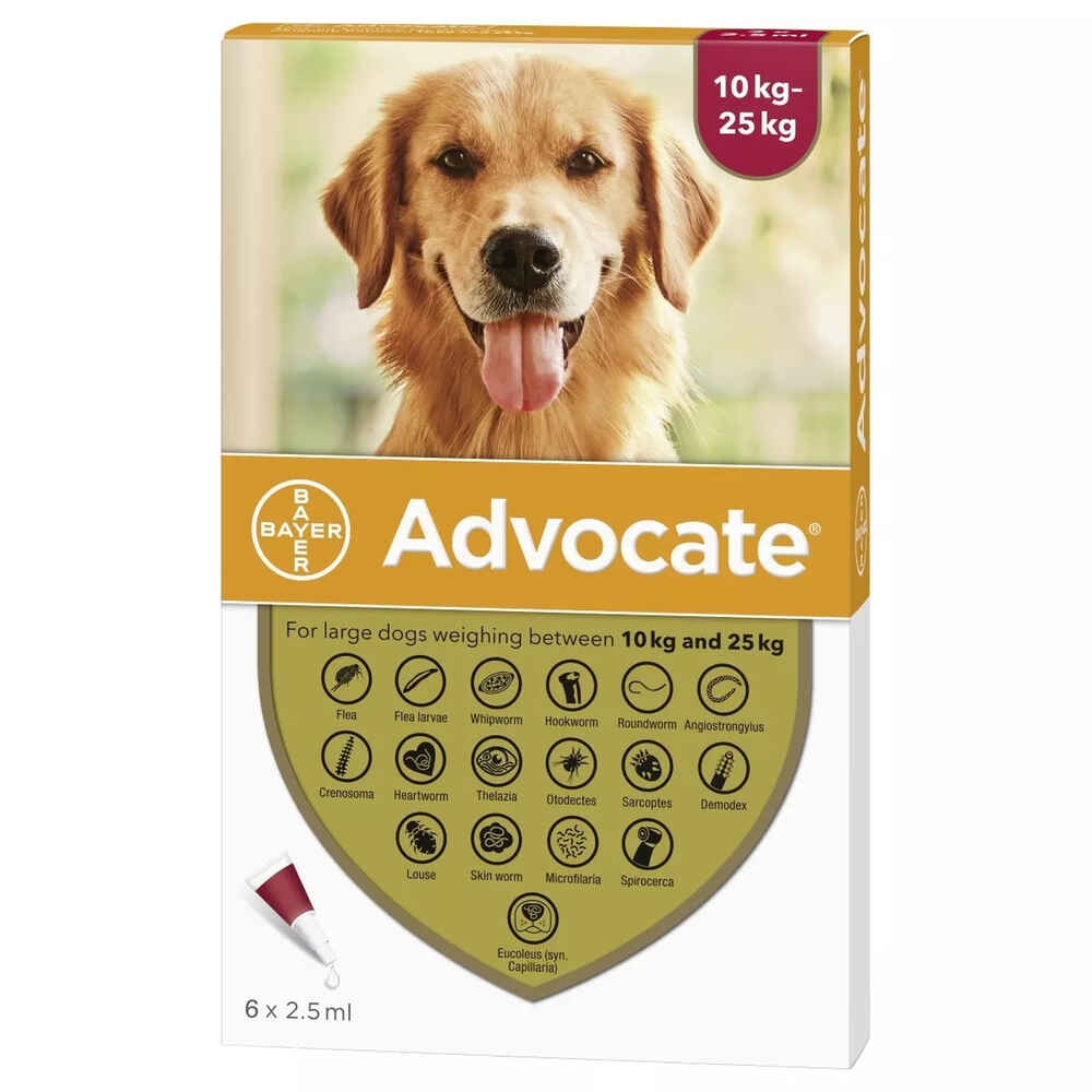 Advocate for Large Dogs 10-25kg (22-55lbs), 6 Pack