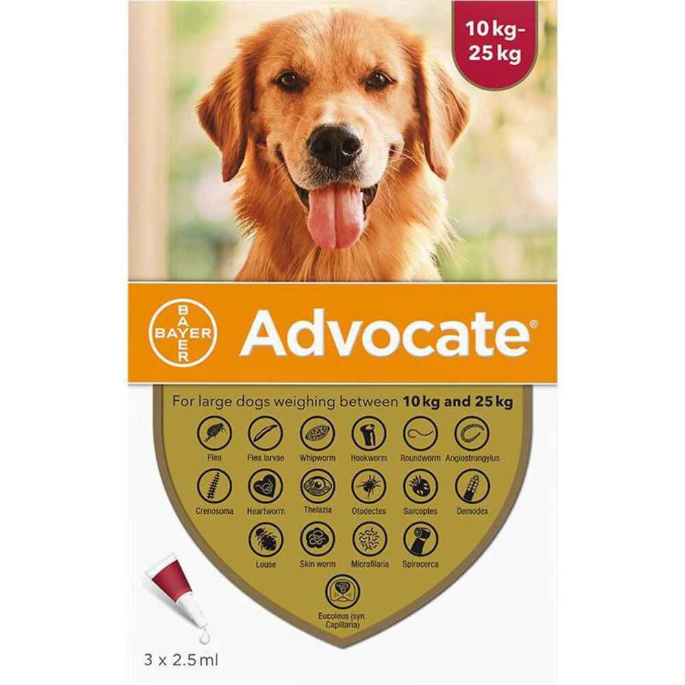 Advocate for Large Dogs 10-25kg (22-55lbs), 3 Pack