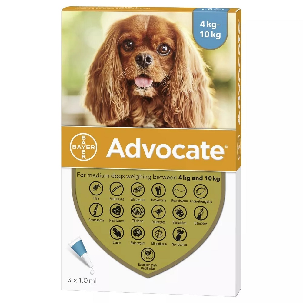 Advocate for Medium Dogs  4-10Kg (8.8-22lbs), 6 Pack