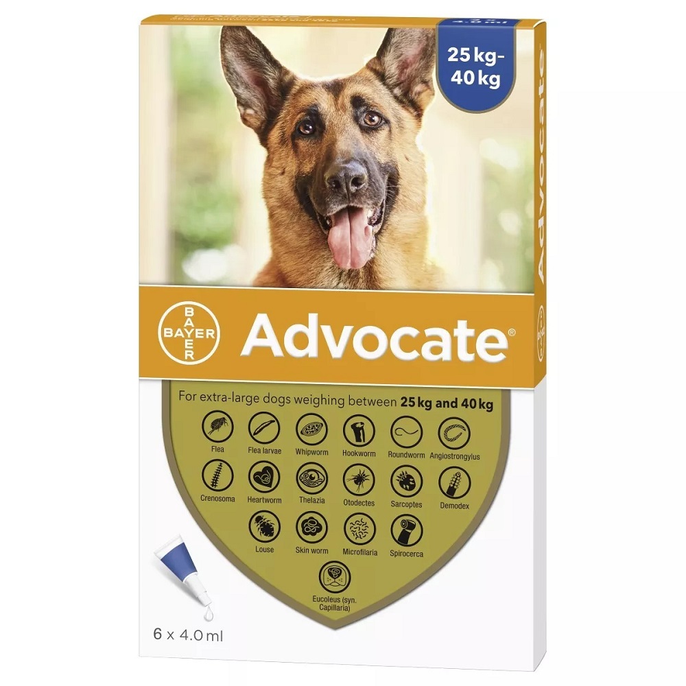 Advocate (Advantage-Multi) for X-Large Dogs from 25-40 kg (55-40 lbs), 6 Pack