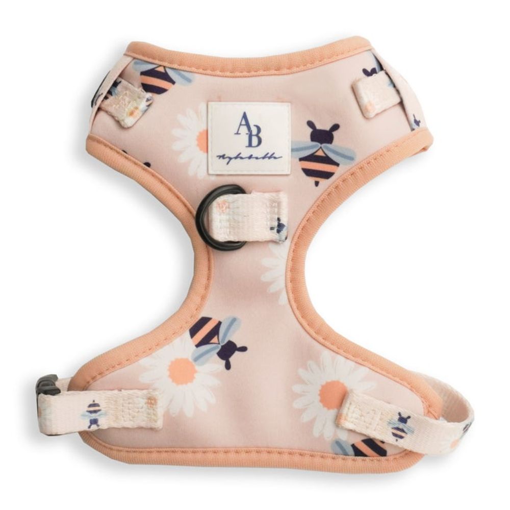 Aylabella B with U Harness L