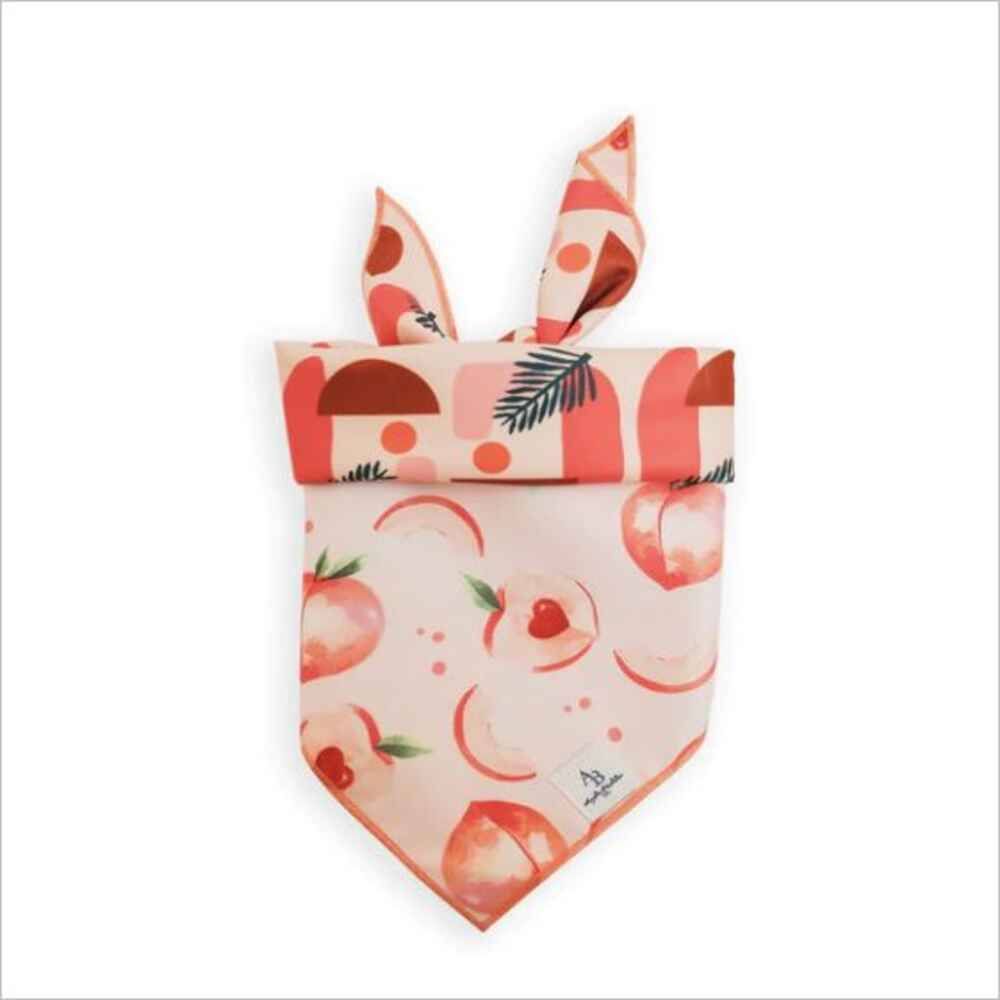 Aylabella Peach & B Reversible Bandana L