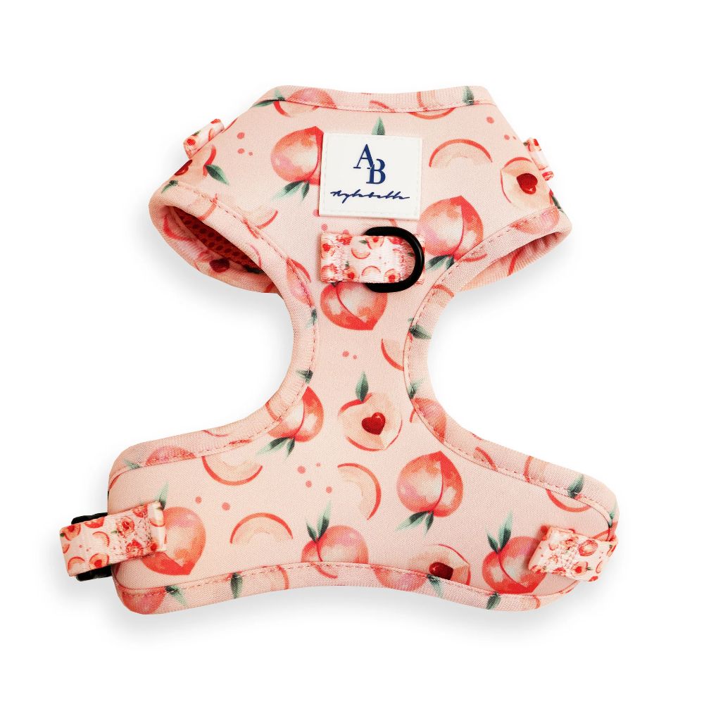 Aylabella Peach Harness XXS