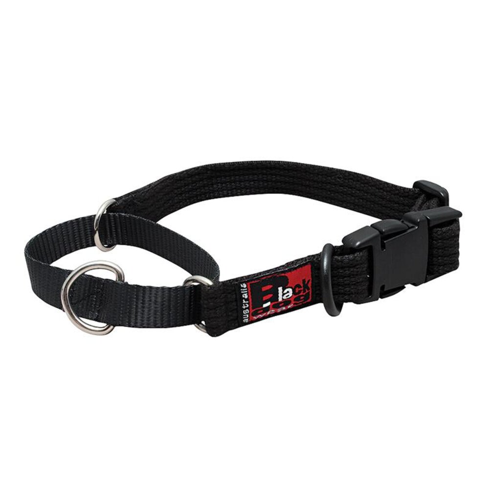 BlackDog Training Dog Collar Black