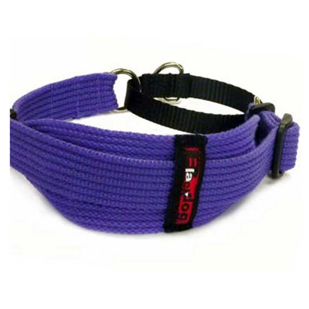 BlackDog Whippet Collar For Dogs