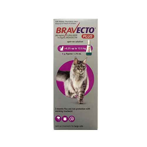 Bravecto Plus 500mg For Large Cats 6.25 - 12.5 kg