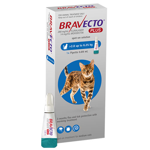 Bravecto Plus 0.89 ml For Medium Cats 2.8 - 6.25 kg (6.1 - 13.7 lbs)