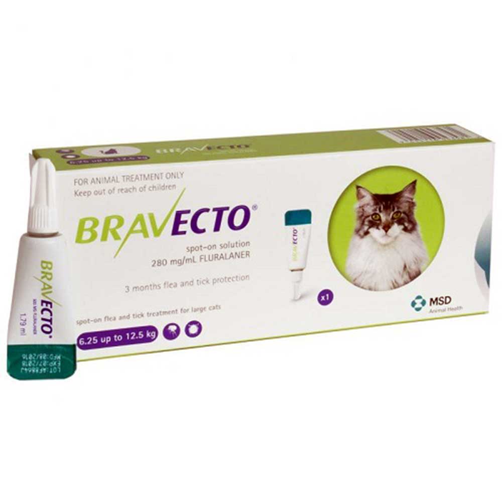 Bravecto Spot On 500mg Large Cat 2 Pk