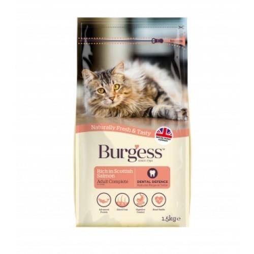 Burgess Adult Cat Scottish Salmon