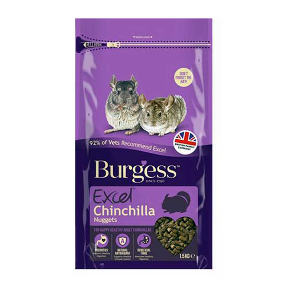 Burgess Chinchilla with Mint