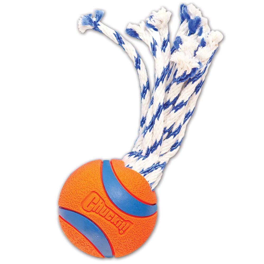 Chuckit Ultra Toss Dog Toy M