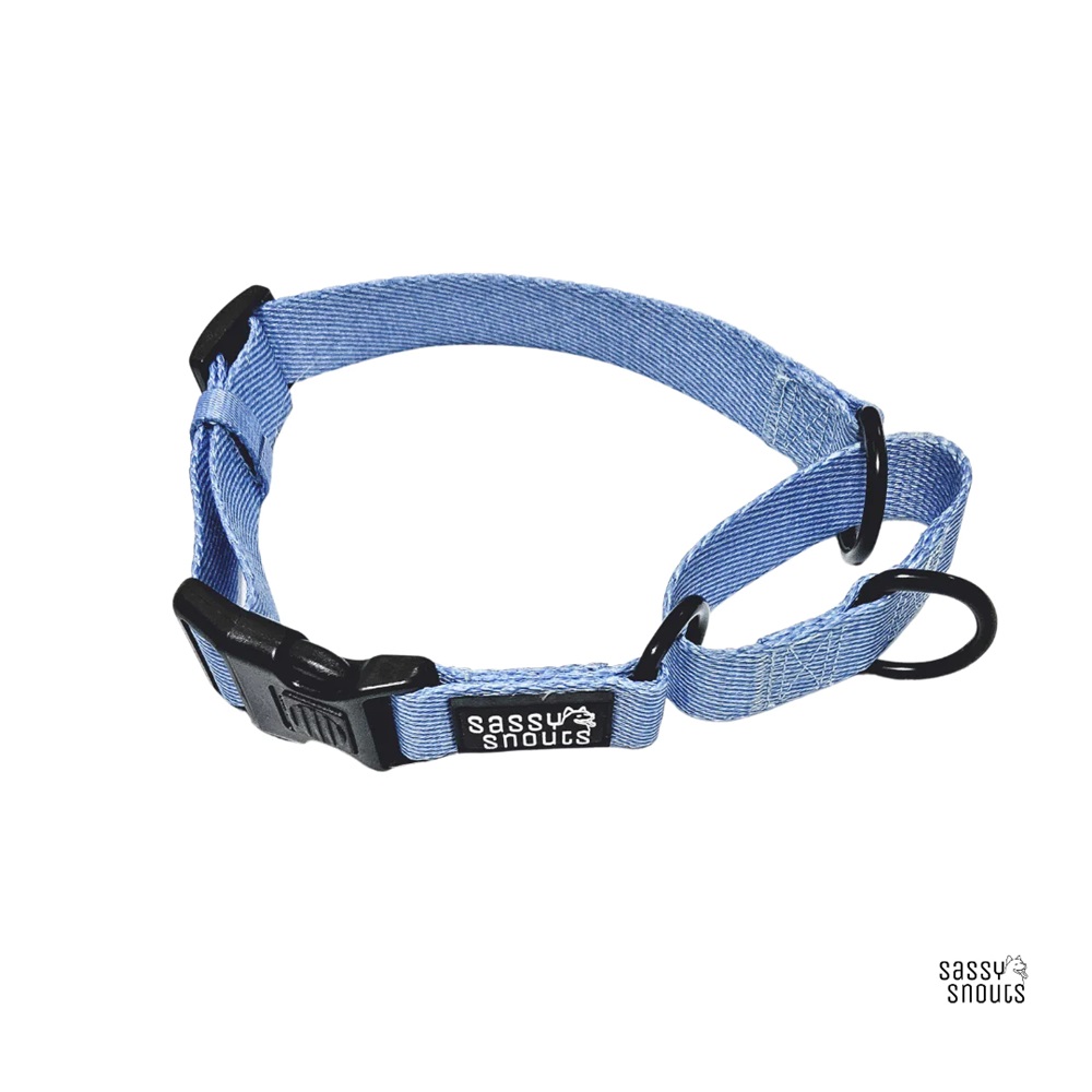 Sassy Snouts Classic Martingale Dog Collar Light Denim