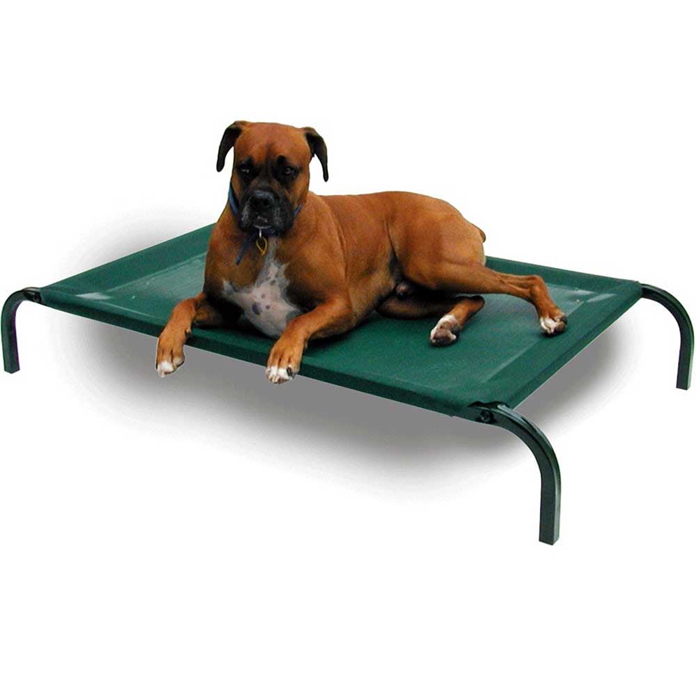 Coolaroo Elevated Pet Bed Green