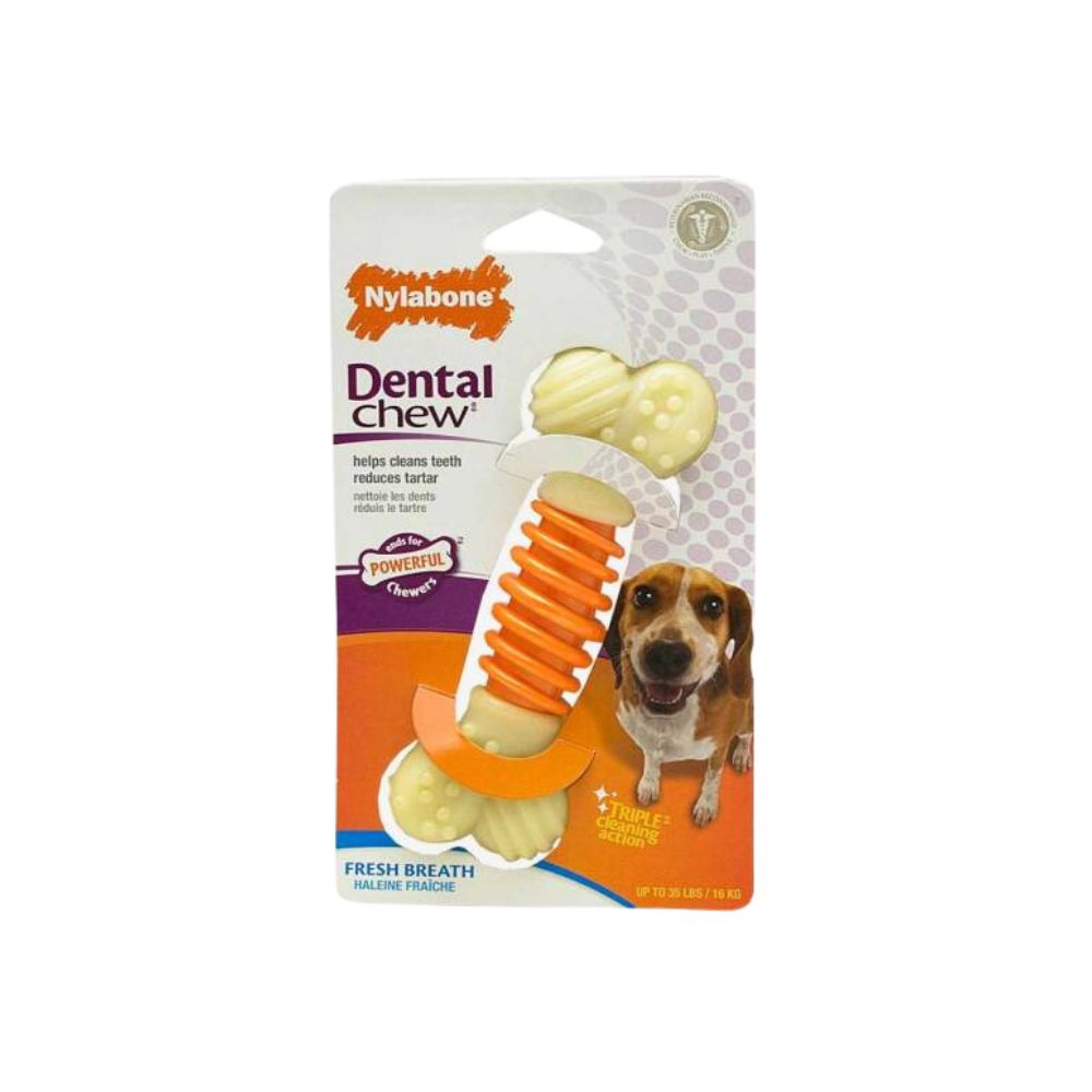 Nylabone Pro Action Dental Chew Medium