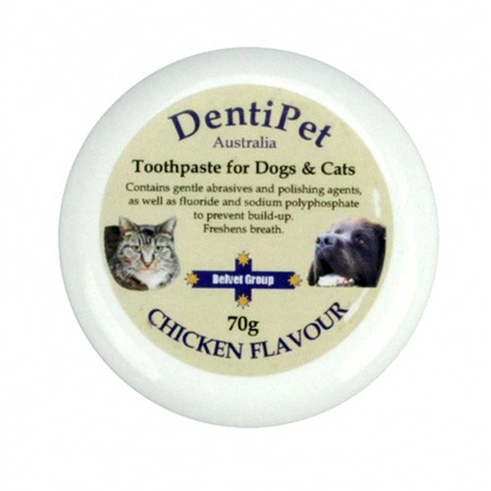 DentiPet Toothpaste Chicken Flavour 70g