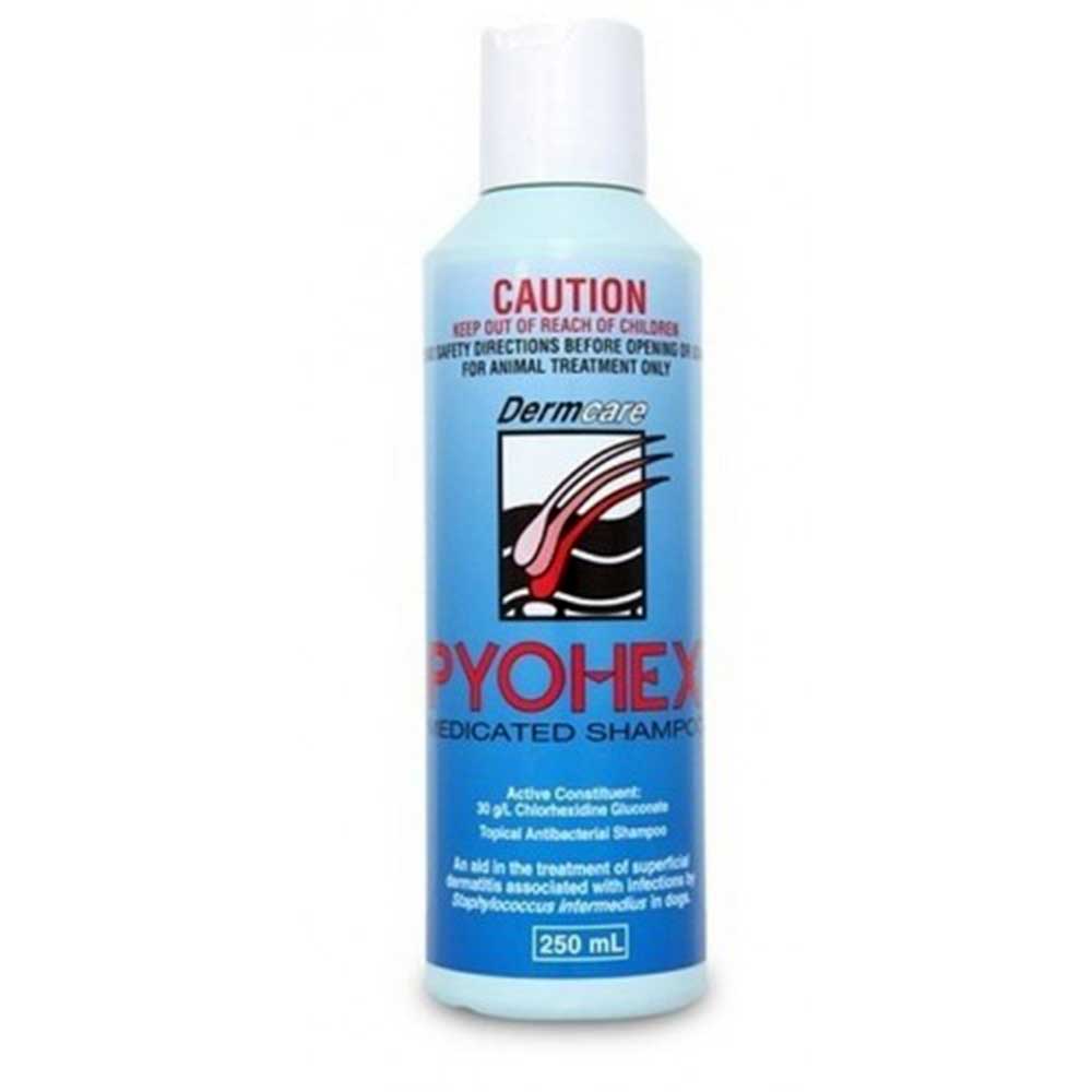 Dermcare Pyohex Shampoo For Dogs