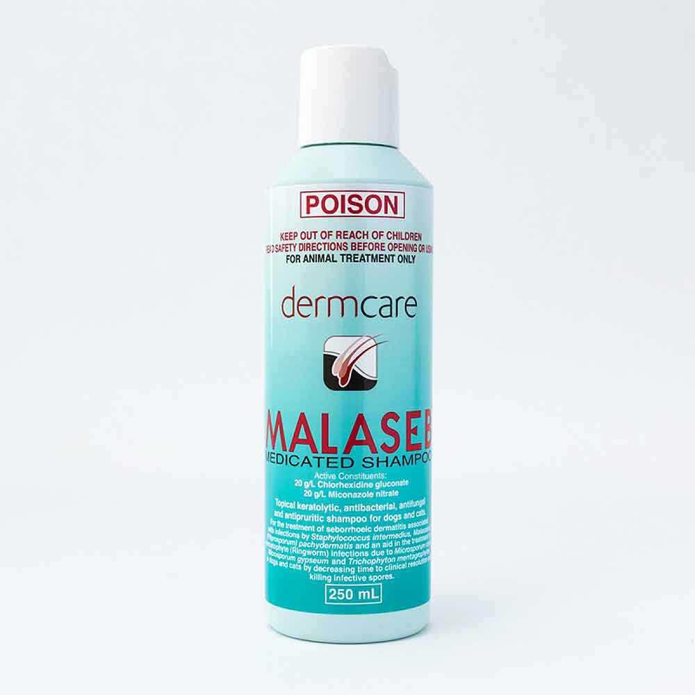 Dermcare Malaseb Medicated Shampoo For Dogs & Cats, 250ml