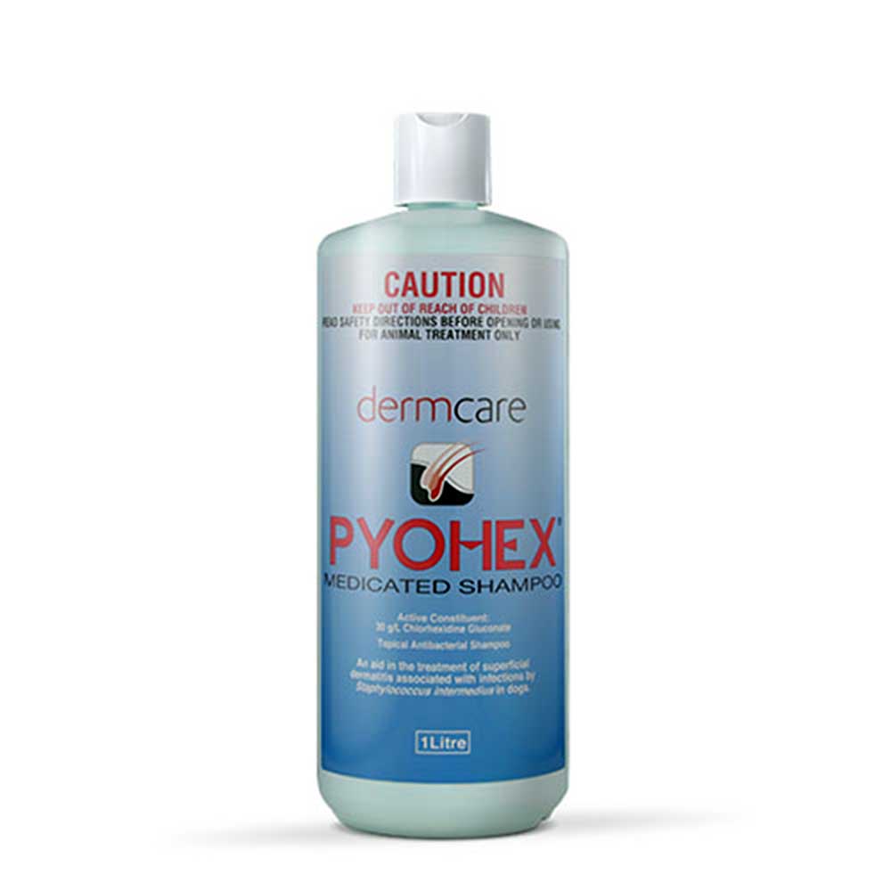 Dermcare Pyohex Medicated Shampoo For Dogs 1 Litre