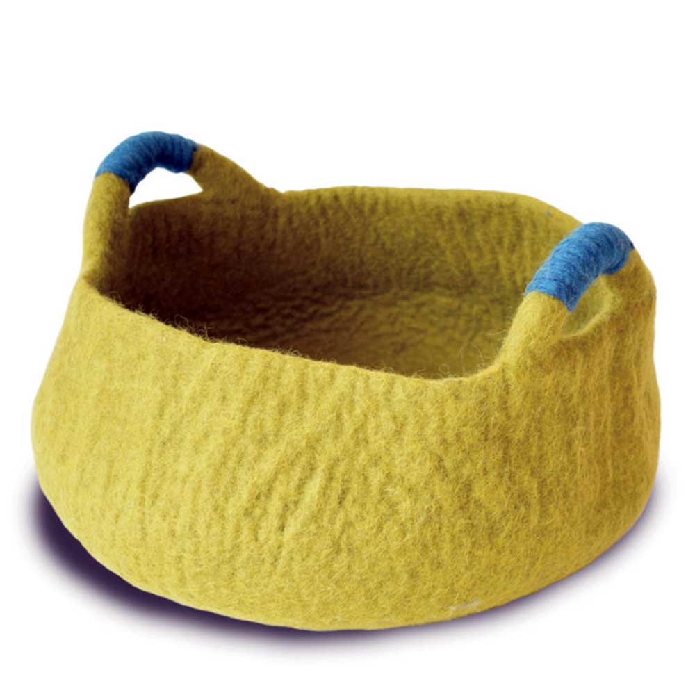 Dharma Dog Karma Cat Handle Basket Green For Cats & Small Dogs Medium (20 inch)