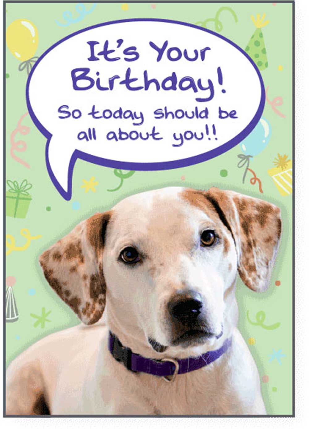 Dog Speak Birthday Card - All About You