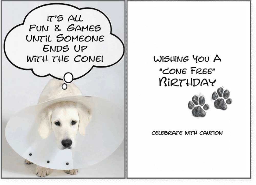 Dog Speak Birthday Card - Cone Free Birthday