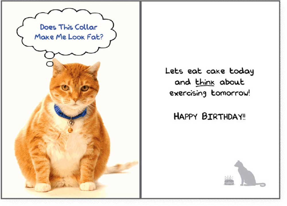 Dog Speak Birthday Card - Does This Collar...