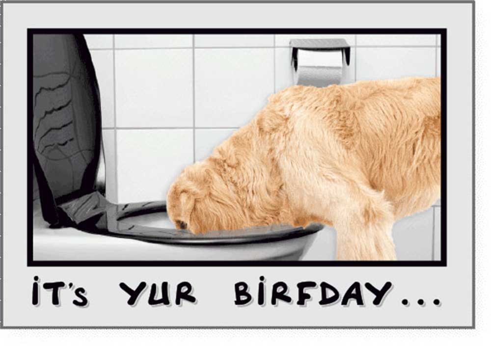 Dog Speak Birthday Card - Drink Responsibly