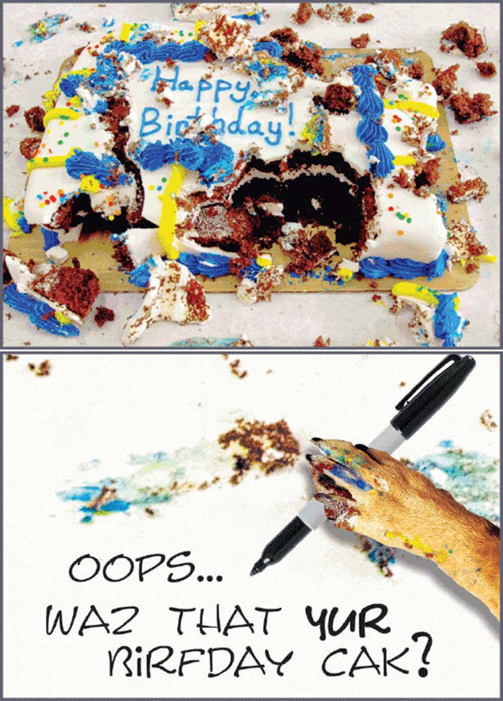 Dog Speak Birthday Card - Messy Cake