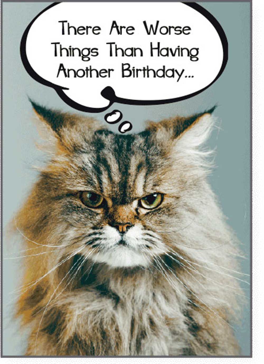 Dog Speak Birthday Card - There Worse Things