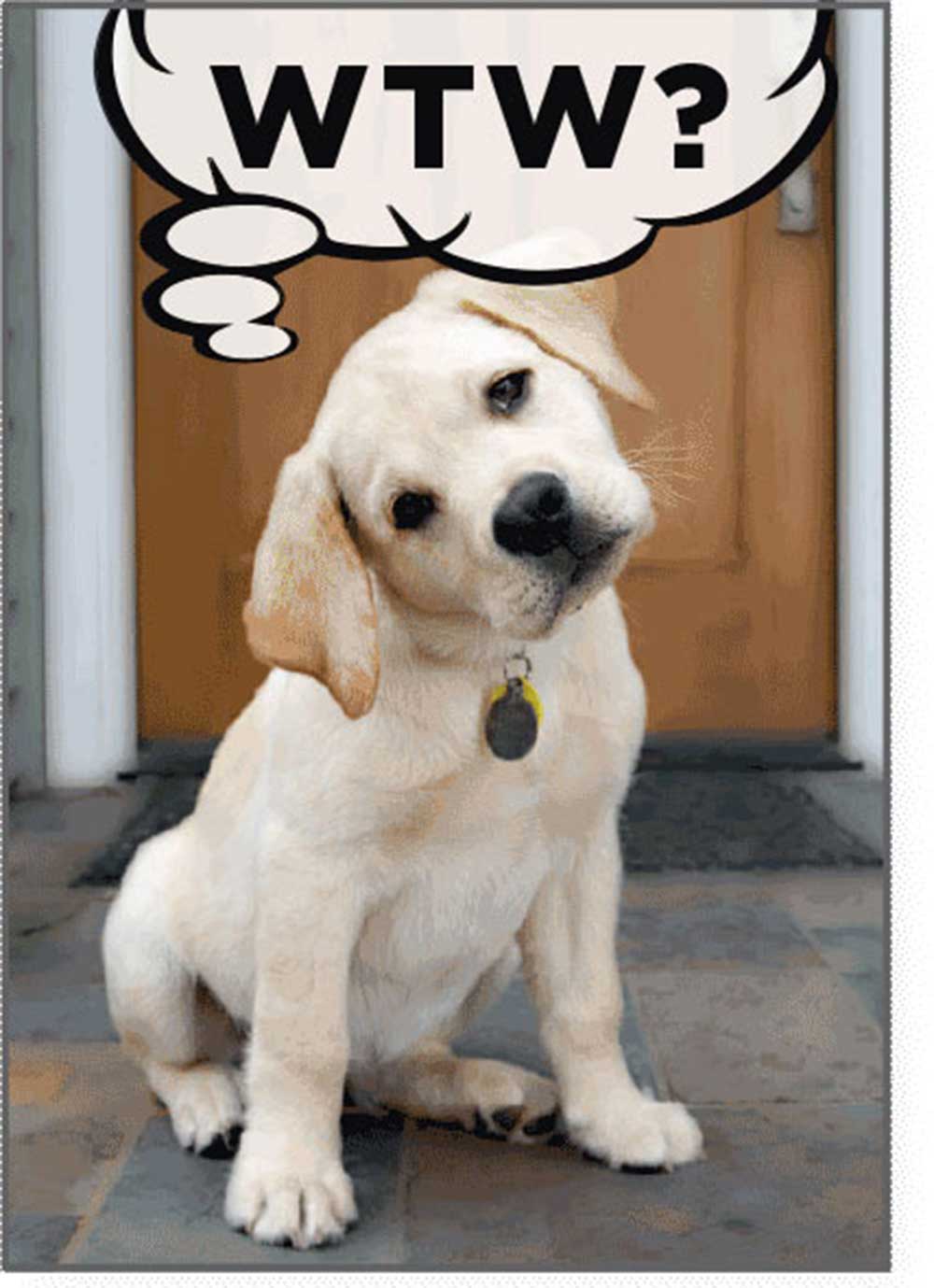 Dog Speak Birthday Card - WTW? What The Woof?