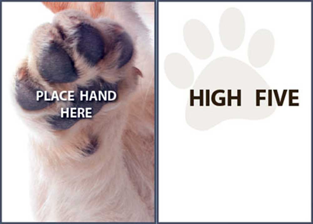 Dog Speak Encouragement Card - High Five