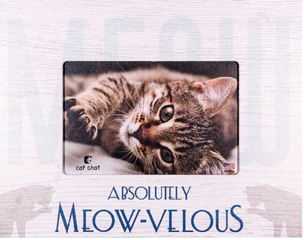 Dog Speak Horizontal Picture Frame - Meow-Velous