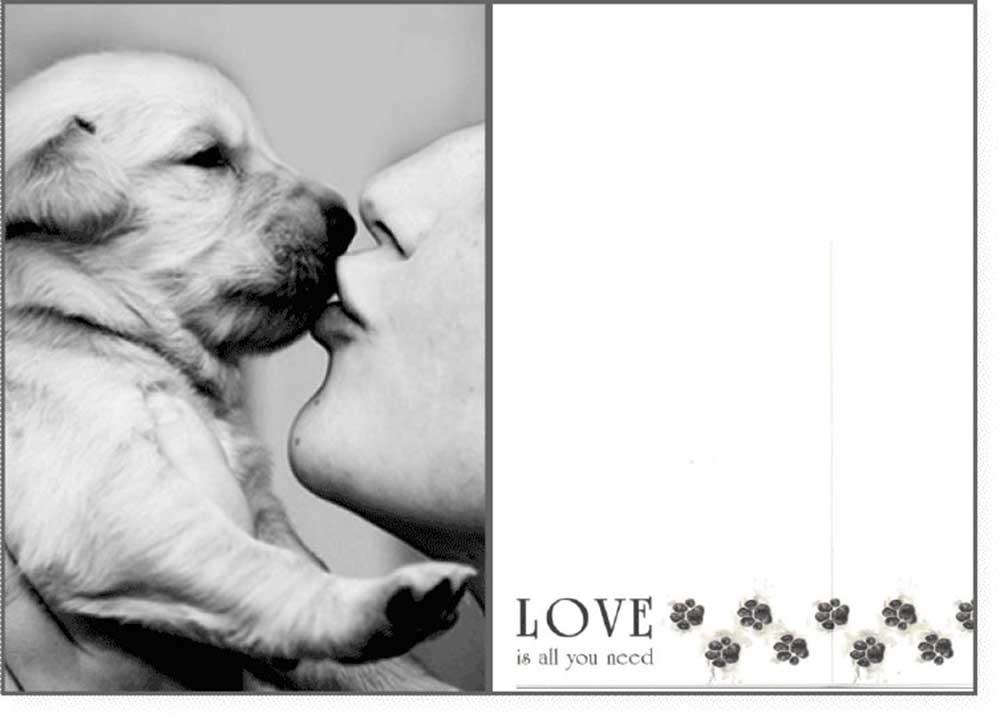 Dog Speak Loving Card - Love Is All You Need