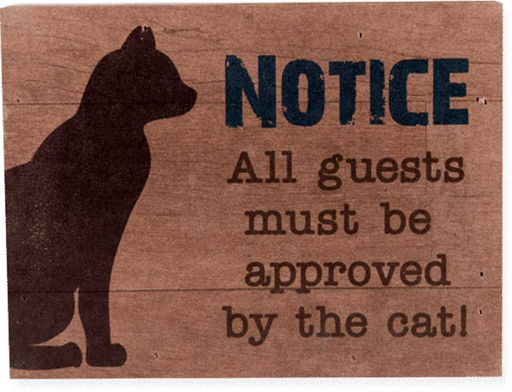 Dog Speak Small Pallet Box Sign - Notice : All Guests must be approved by the Cat