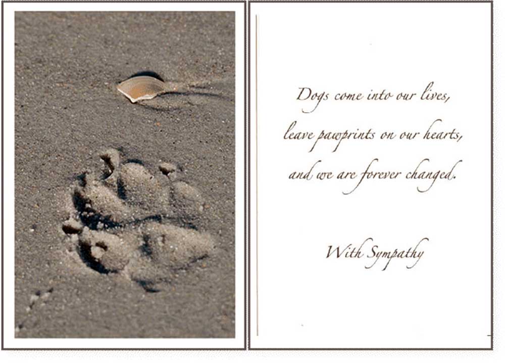 Dog Speak Sympathy Card - Paw Prints