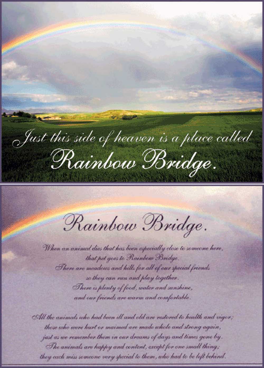 Dog Speak Sympathy Card - Rainbow Bridge