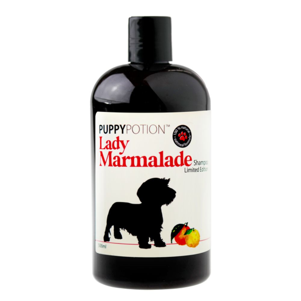 Doggy Potion Marmalade Shampoo For Dogs 500ml