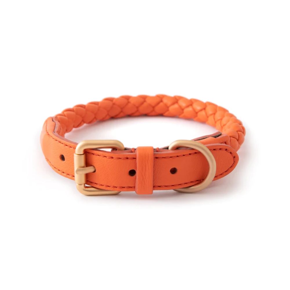 Ferdinando Collar L Tangerine Orange