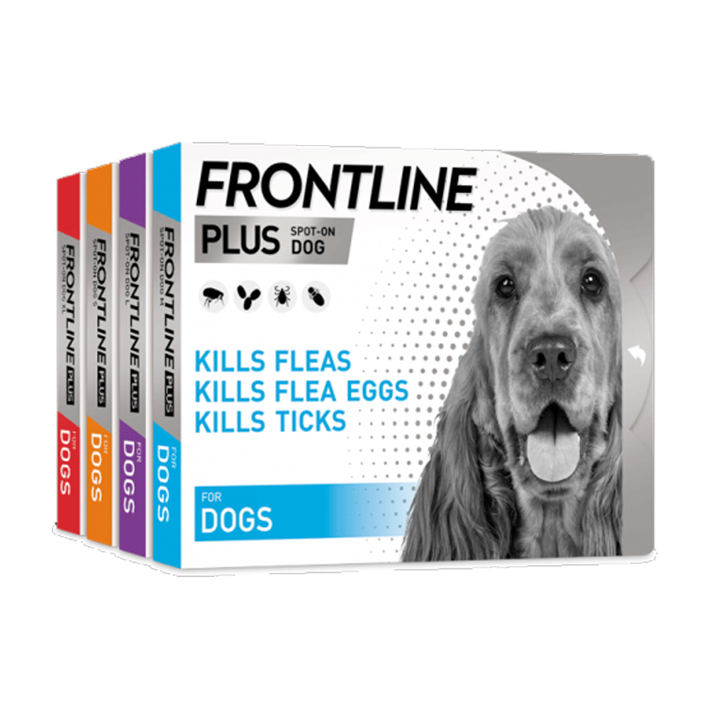 Frontline Plus Pet Flea/Tick Control