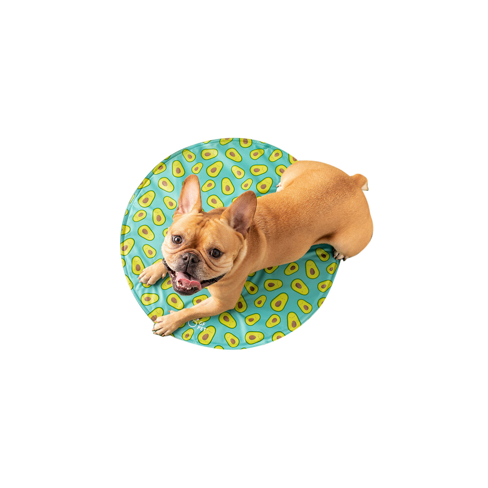 GF Pet Round Ice Mat Aqua S/M