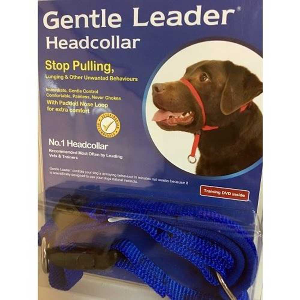 Gentle Leader Dog Head Collar Purple - Large