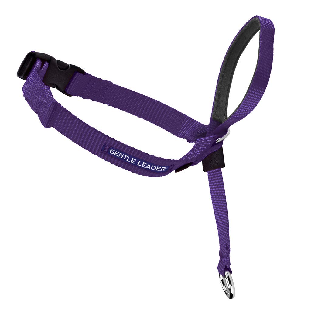 Gentle Leader Head Collar Purple XLarge