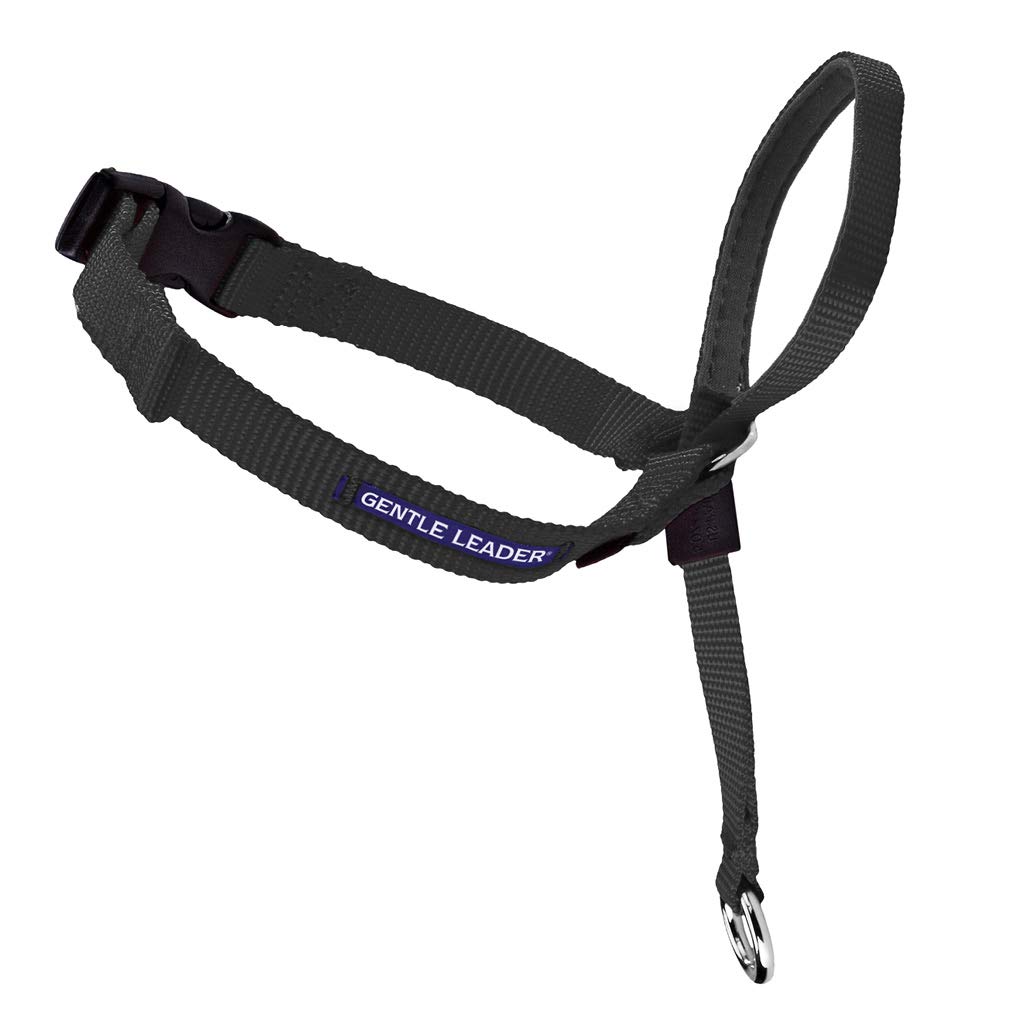 Gentle Leader Dog Head Collar Black - Medium