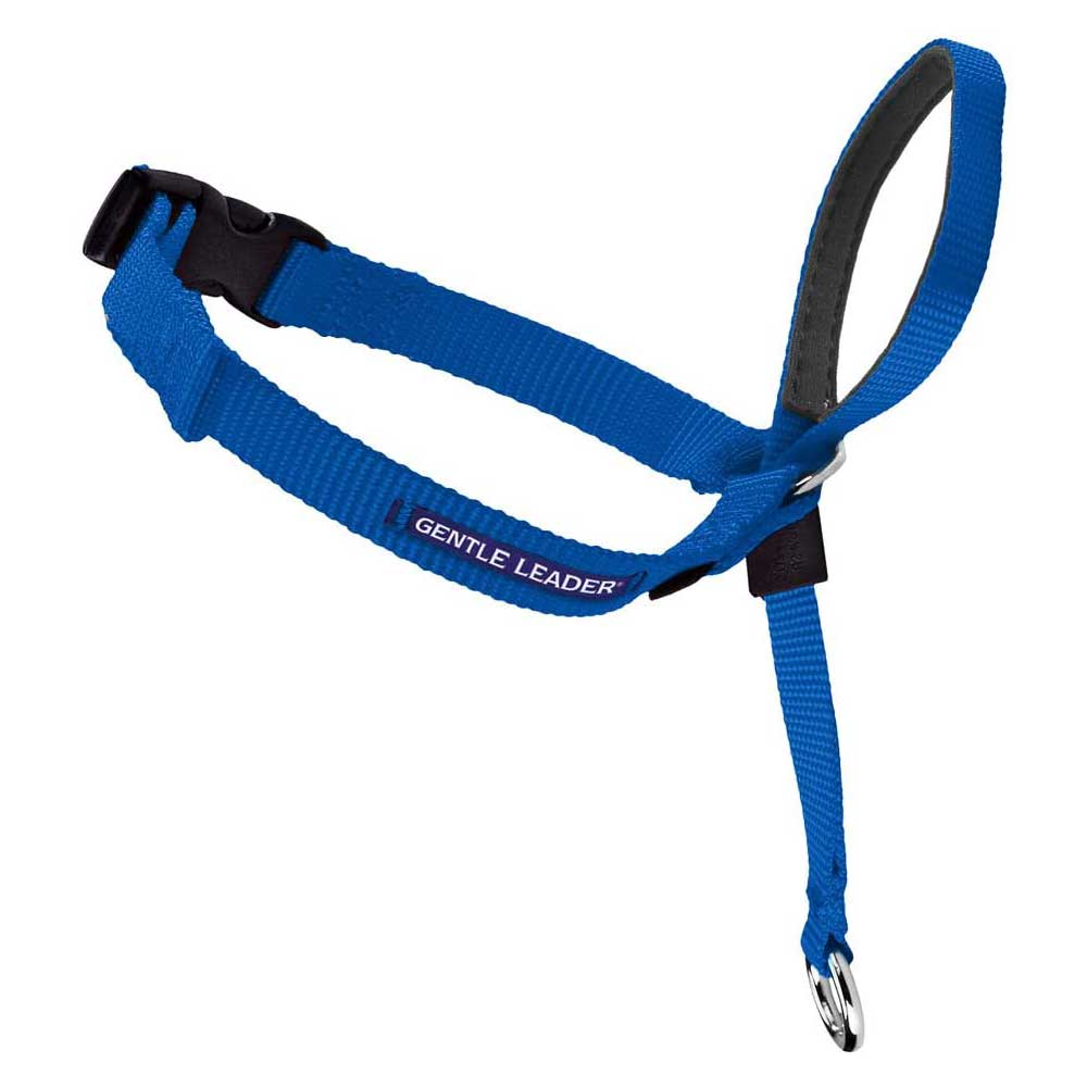 Gentle Leader Head Collar Blue XLarge