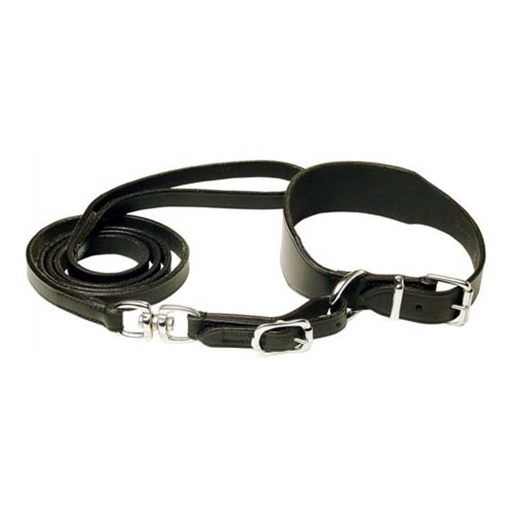 Greyhound Collar & Leash Set Black for Dogs