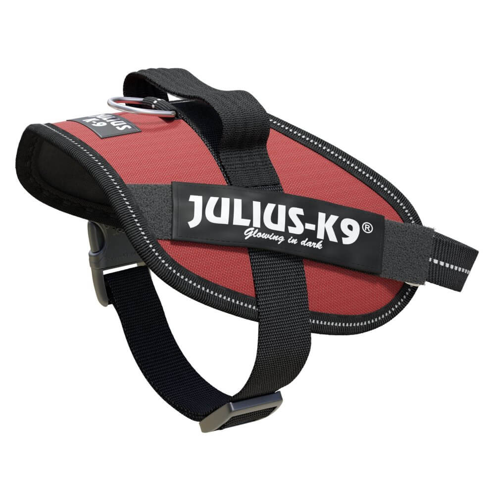 Julius-K9 IDC Powerharness BD Brown MinM