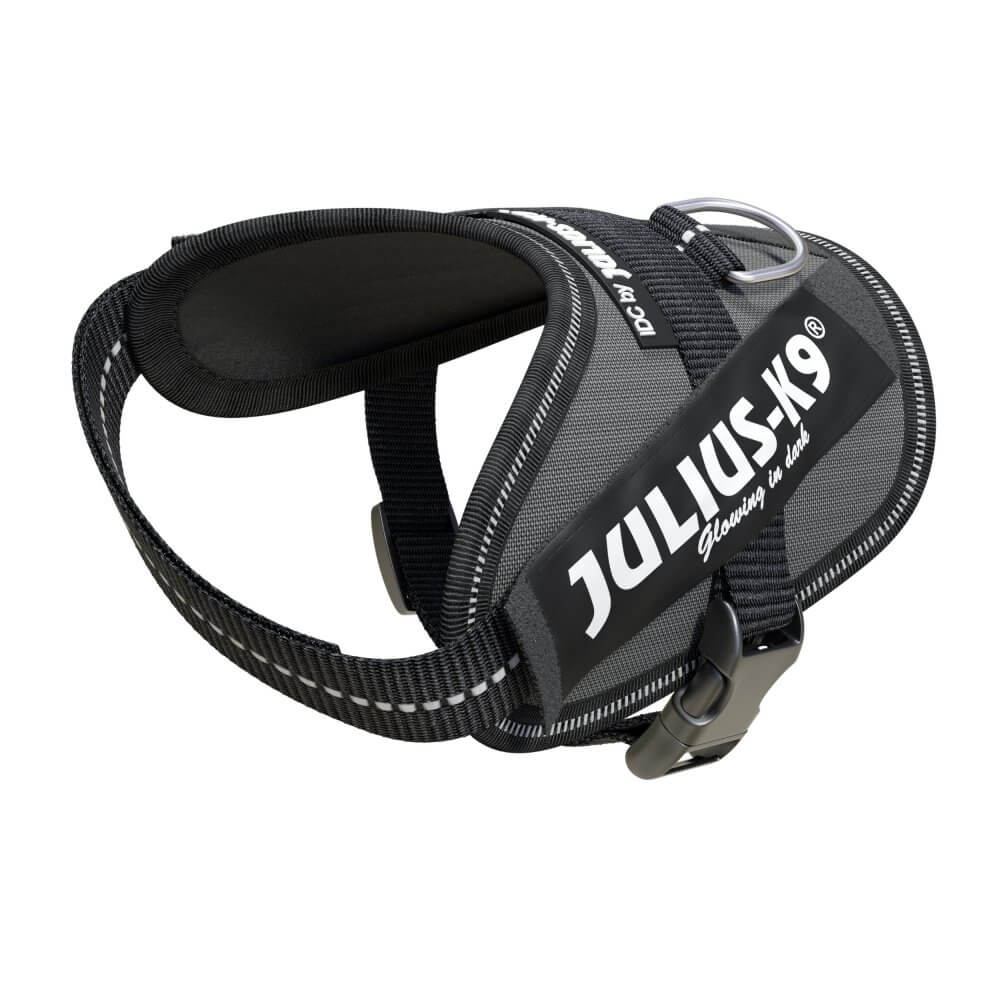 Julius-K9 IDC Powerharness Grey baby 2